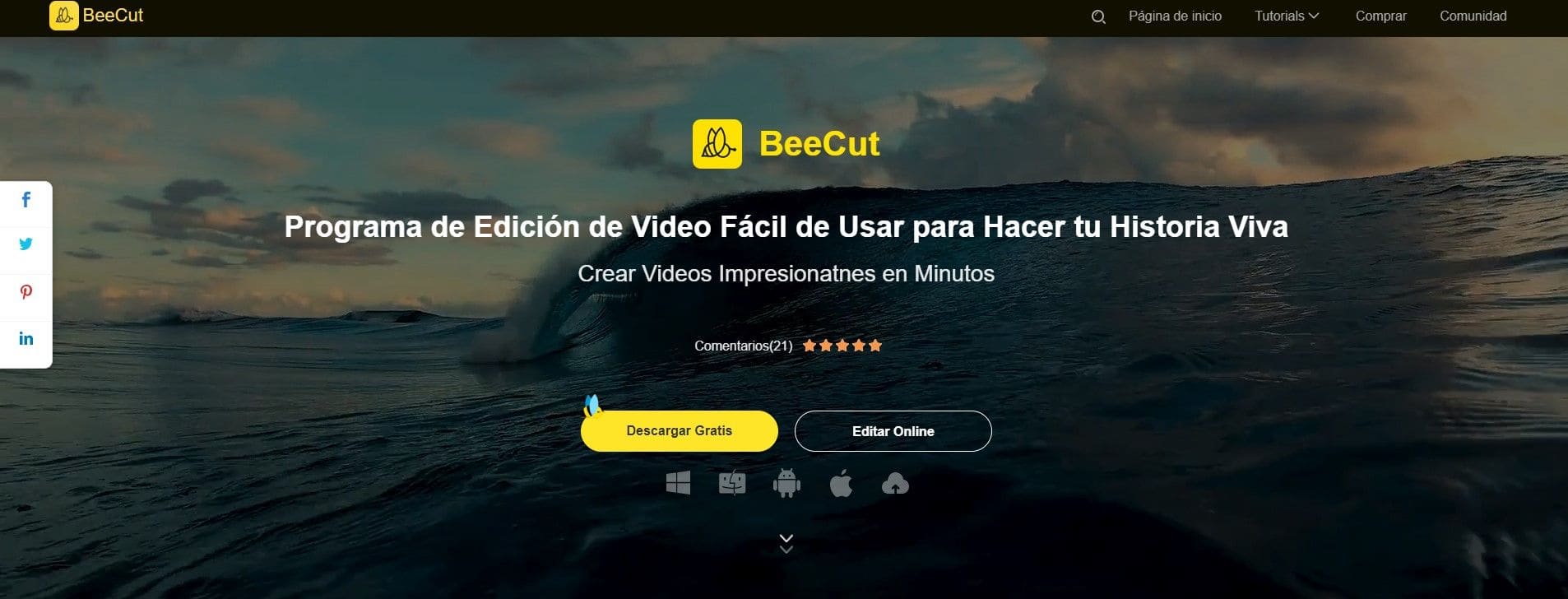 tiktok beecut