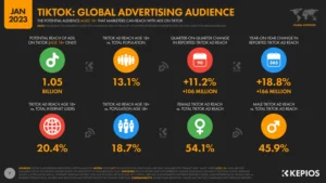 imagen de publicidad global en tiktok en enero de 2023
