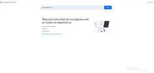 Imagen interfaz page speed ejemplo